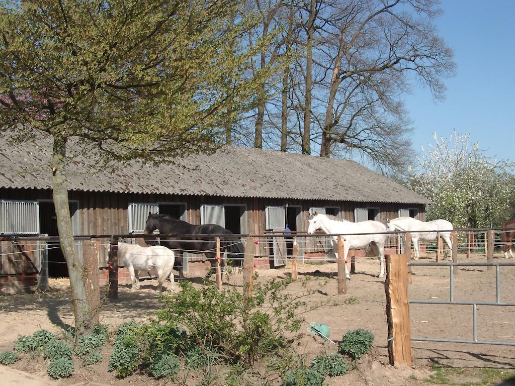 Ferienhof Schmidt Villa Ankum Exterior foto